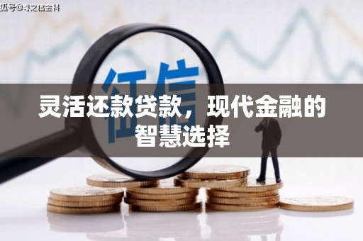 苗栗灵活还款贷款，现代金融的智慧选择