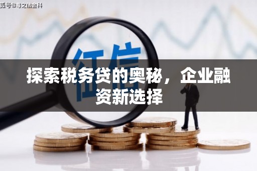 中区探索税务贷的奥秘，企业融资新选择
