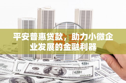 芳苑平安普惠贷款，助力小微企业发展的金融利器