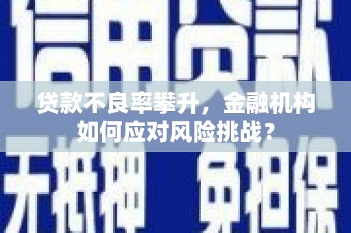 阿莲贷款不良率攀升，金融机构如何应对风险挑战？