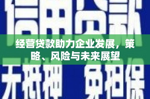 西贡经营贷款助力企业发展，策略、风险与未来展望