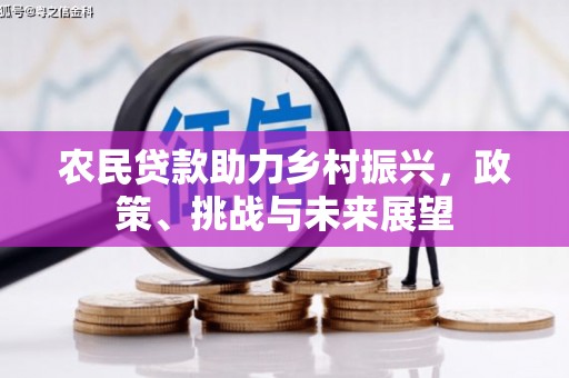 湾仔区农民贷款助力乡村振兴，政策、挑战与未来展望