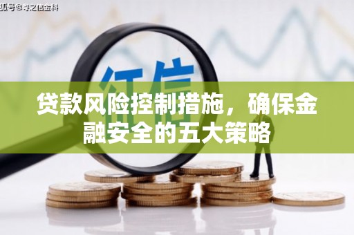 任城贷款风险控制措施，确保金融安全的五大策略