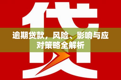 海兴逾期贷款，风险、影响与应对策略全解析