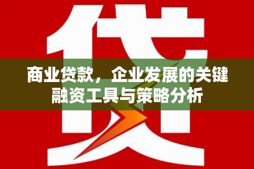 儋州商业贷款，企业发展的关键融资工具与策略分析