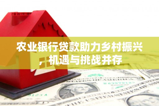 洞口农业银行贷款助力乡村振兴，机遇与挑战并存