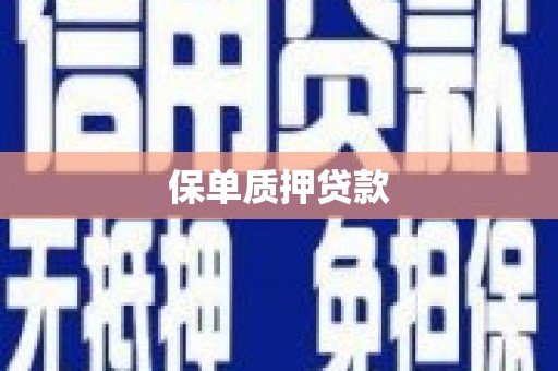 海原保单质押贷款