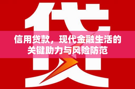迭部信用贷款，现代金融生活的关键助力与风险防范