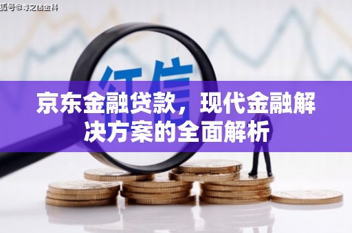 龙子湖京东金融贷款，现代金融解决方案的全面解析