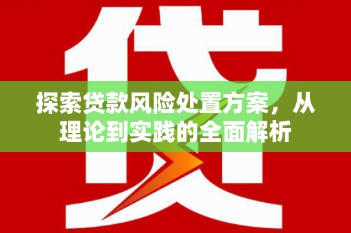 万峦探索贷款风险处置方案，从理论到实践的全面解析