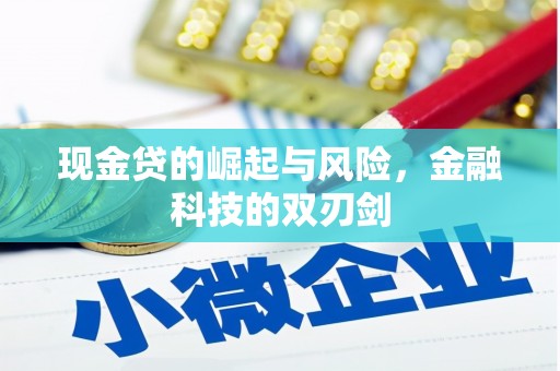 武鸣现金贷的崛起与风险，金融科技的双刃剑