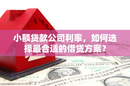 北港小额贷款公司利率，如何选择最合适的借贷方案？