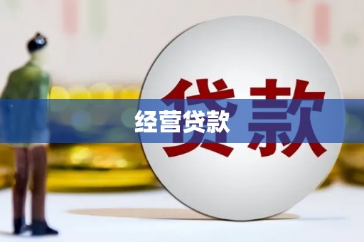 阜平经营贷款