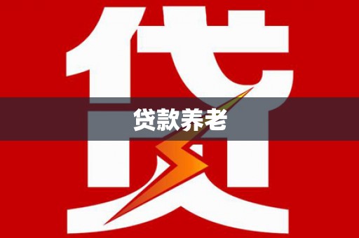 琼结贷款养老