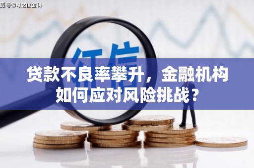 靖远贷款不良率攀升，金融机构如何应对风险挑战？