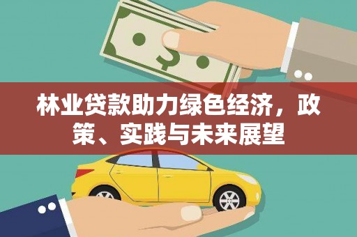 兴城林业贷款助力绿色经济，政策、实践与未来展望