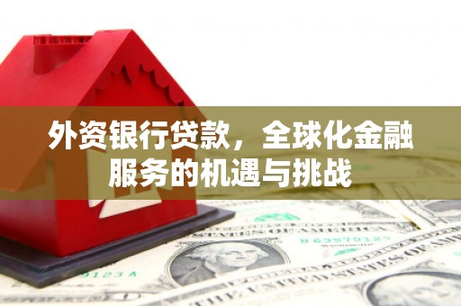 南召外资银行贷款，全球化金融服务的机遇与挑战