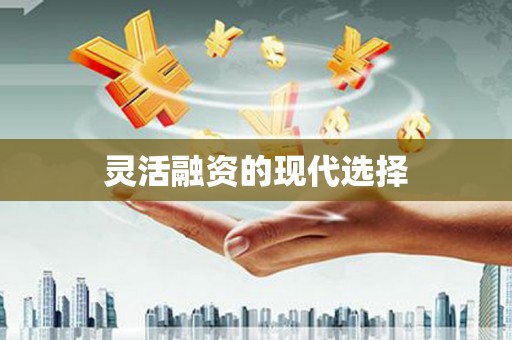 勉县灵活融资的现代选择