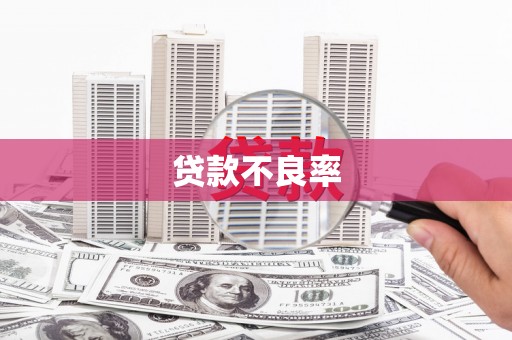 鄯善贷款不良率