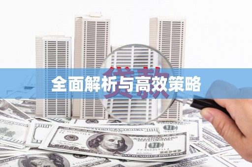 中西全面解析与高效策略