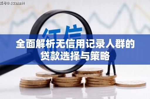 白碱滩全面解析无信用记录人群的贷款选择与策略