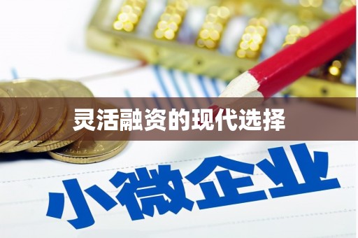宣城灵活融资的现代选择