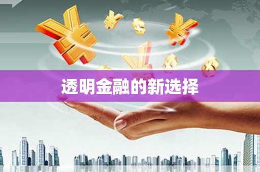 钢城透明金融的新选择