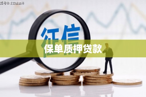 新营保单质押贷款