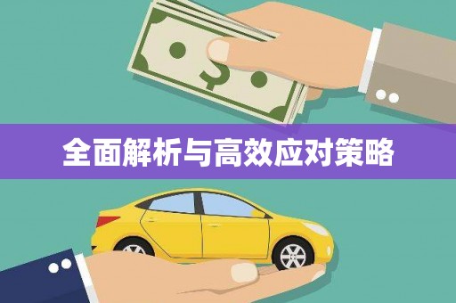 嵊泗全面解析与高效应对策略
